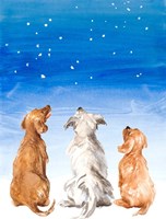 Framed Three Dogs Star Gazing