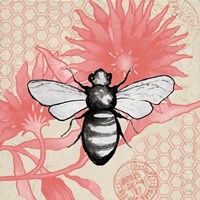Framed Bee on Pink Flower Square