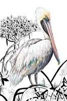 Framed Pelican on Branch II