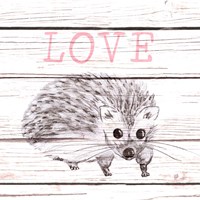 Framed Hedgehog Love