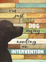 Framed Dog Intervention