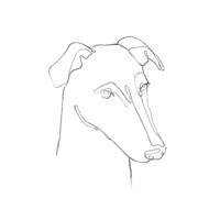 Framed Greyhound Pencil Portrait II