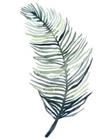 Framed Watercolor Palm Leaves II