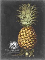 Framed Royal Brookshaw Pineapple I