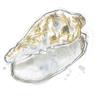 Framed Citron Shell Sketch IV