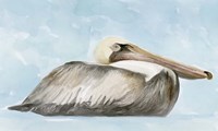 Framed Soft Brown Pelican I