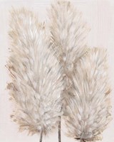 Framed 'Pampas Grass IV' border=