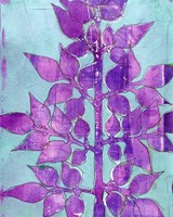 Framed Purple Planta I
