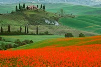 Framed Europe, Italy, Tuscany The Belvedere Villa Landmark And Farmland