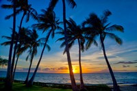 Framed Sunset And Silhouetted Palm Trees, Kihei, Maui, Hawaii