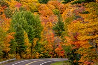 Framed Autumn Color Along Highway 26 Near Houghton, Michigan