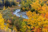 Framed Autumn Color Along Divide Creek In Glacier National Park, Montana