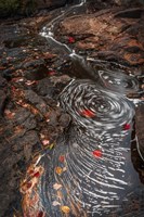 Framed New York, Adirondack State Park Stream Eddies