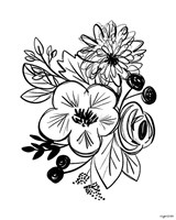 Framed 'Flower Sketch III' border=