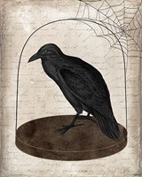 Framed Raven Jar