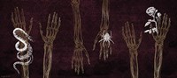Framed Skeleton Hands