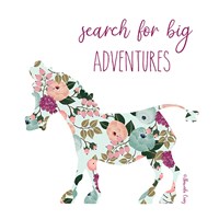 Framed 'Search for Big Adventures' border=