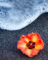 Framed Beach Floral