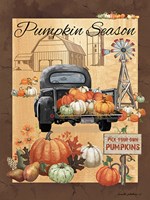 Framed Pumpkin Season III
