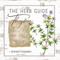 Framed Herb Guide - Thyme