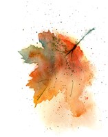 Framed Fall Leaves II