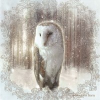 Framed 'Enchanted Winter Owl' border=