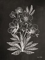 Framed Vintage Chalkboard Flowers