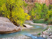 Framed Utah Zion National Park, Virgin River