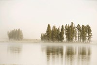 Framed Morning Fog Along The Yellowstone River In Yellowstone National Park