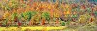 Framed Cantilever Bridge And Autumnal Trees In Forest, Central Bridge, New York State