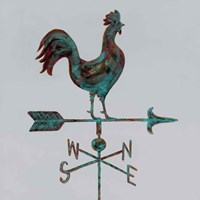 Framed 'Rural Relic Rooster' border=