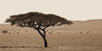 Framed Serengeti Horizons I