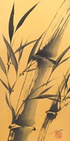 Framed Bamboo's Strength