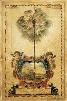 Framed Paradise Palm