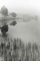 Framed Lakeside Mist