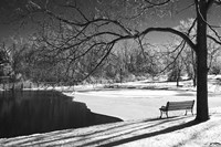 Framed Heritage Pond In Winter