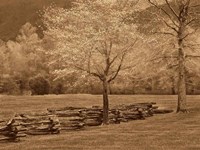 Framed Smokies Fence