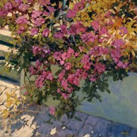 Framed Steps and Summer Flowers