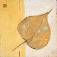 Framed Leaf Impression - Ochre