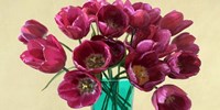 Framed Red Tulips in a Glass Vase (detail)