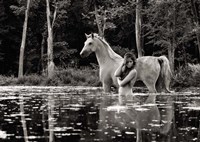 Framed In the Wilderness