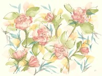Framed Blush Camellias