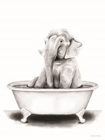 Framed Elephant in Tub