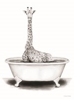 Framed Giraffe in Tub