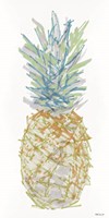 Framed Sketchy Pineapple 1