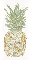 Framed Sketchy Pineapple 2