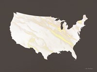 Framed Marble Gold USA Map