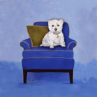 Framed Westie on Blue