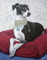 Framed Italian Greyhound on Red