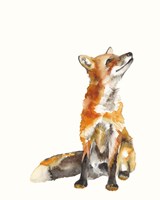 Framed Sly Fox I